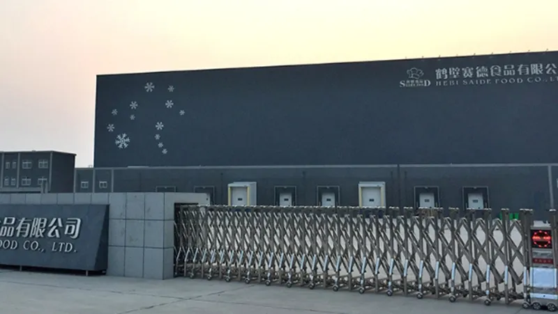 مشروع تجهيز وتخزين لحوم المواشي - الصين